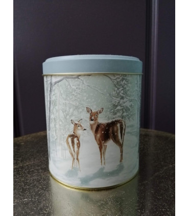 Boîte de Noël
